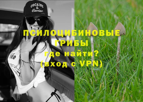 гидропоника Алзамай
