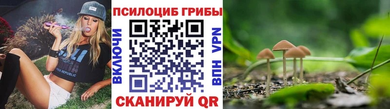 как найти закладки  Пошехонье  Галлюциногенные грибы Psilocybine cubensis 