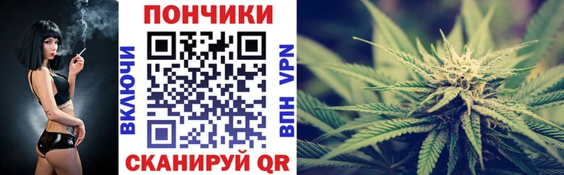 Каннабис SATIVA & INDICA Пошехонье